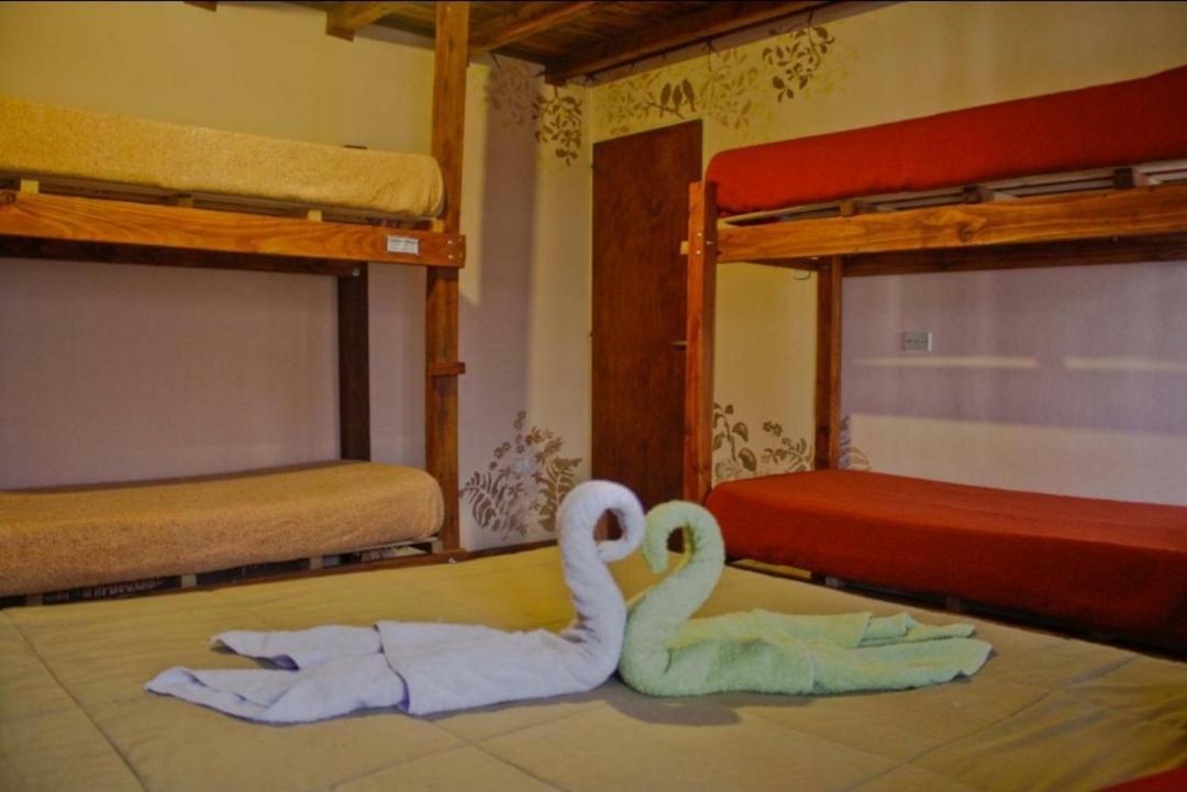 La Casa Del Arbol - Hostel El Bolsón Exteriör bild